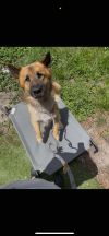 Frankie photo 6
