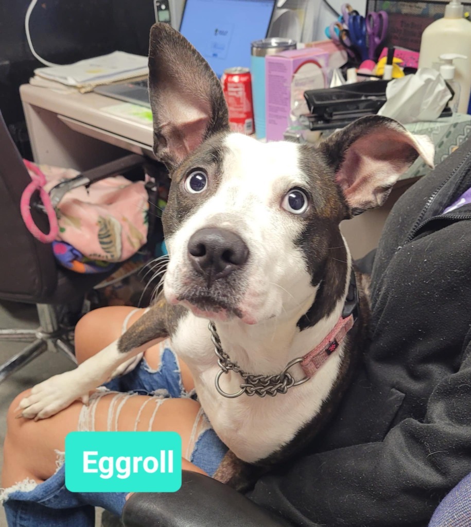 Eggroll