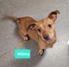 Wilma photo 2