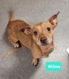 Wilma photo 3