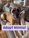 Winnie photo 1