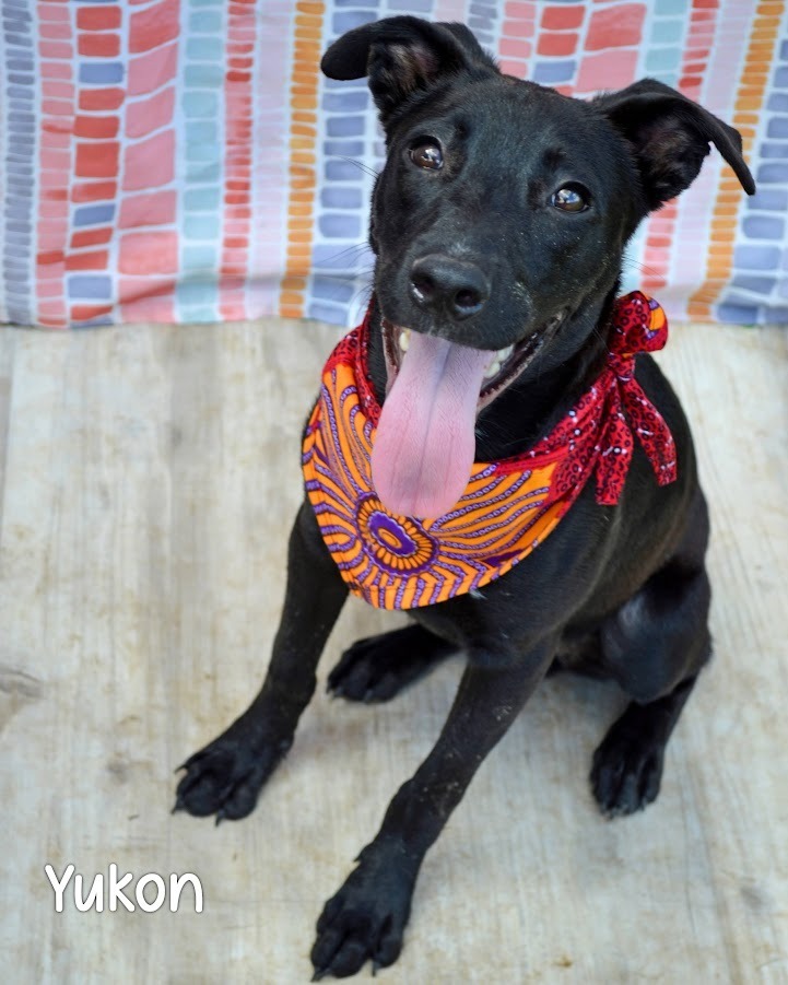 Yukon