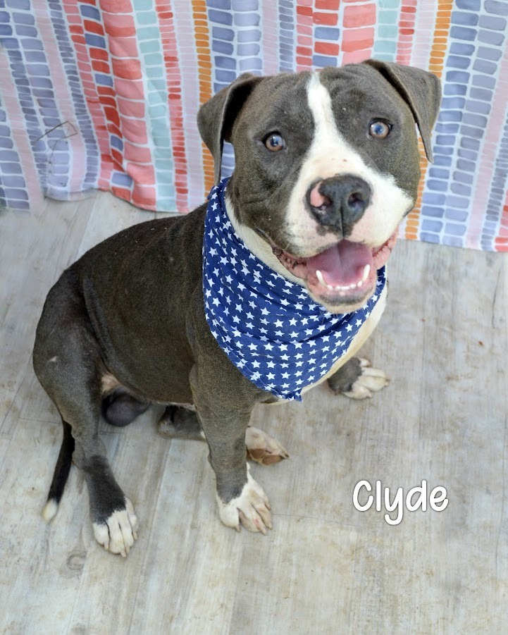 Clyde