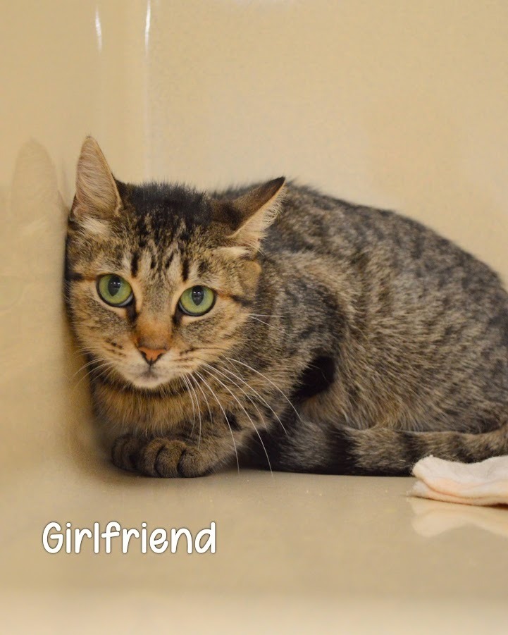 Girlfriend