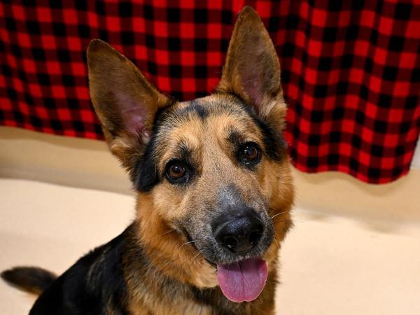 Zeus