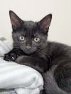 Luna photo 1