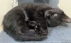 Luna photo 3