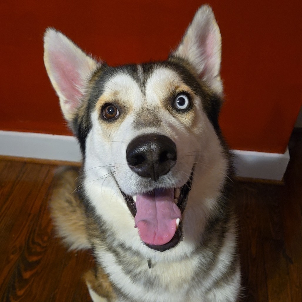 Remington