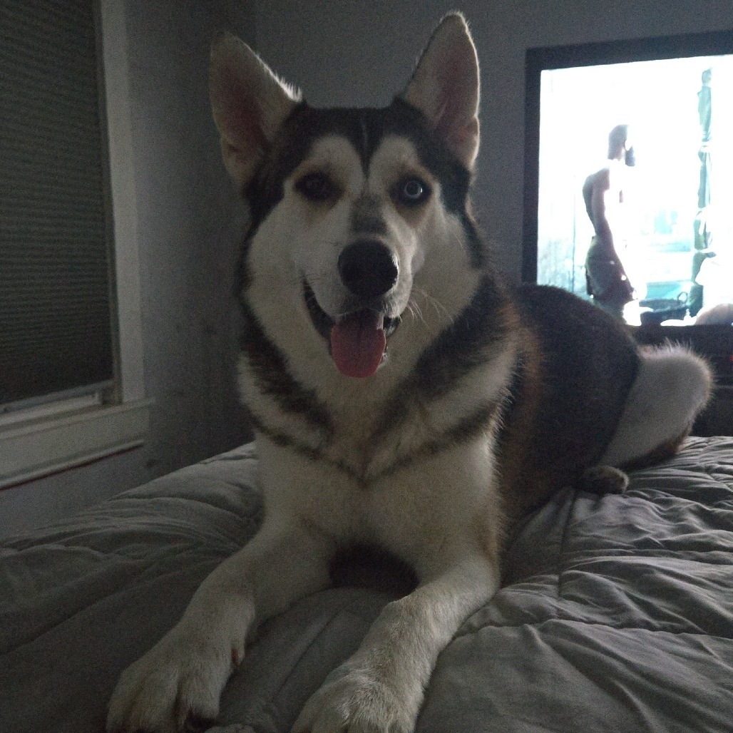 Remington