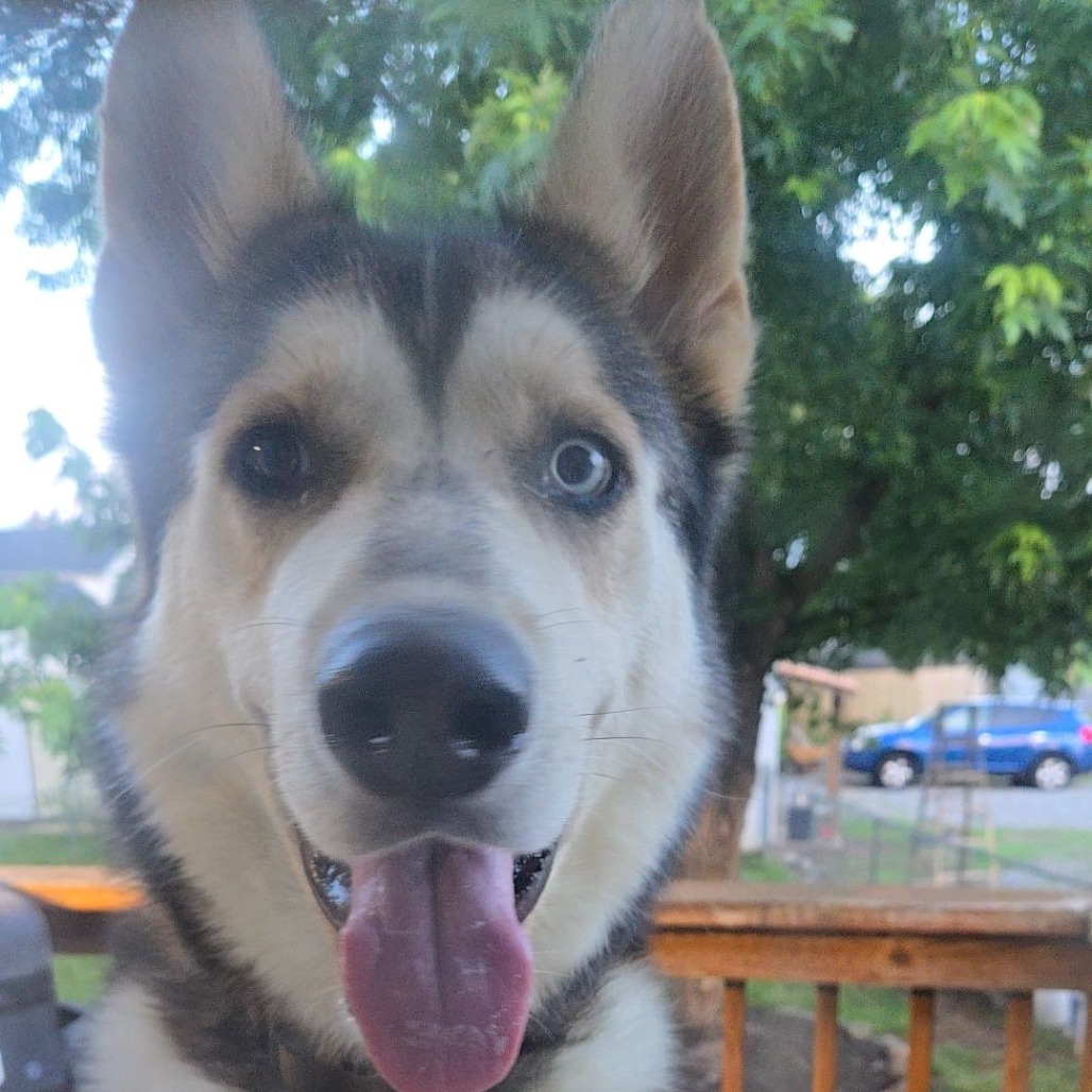 Remington