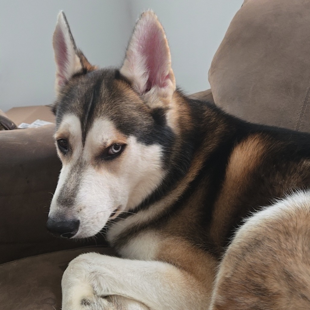 Remington