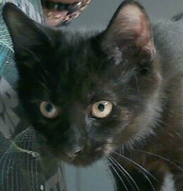 Quimby