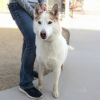 Hazel photo 4