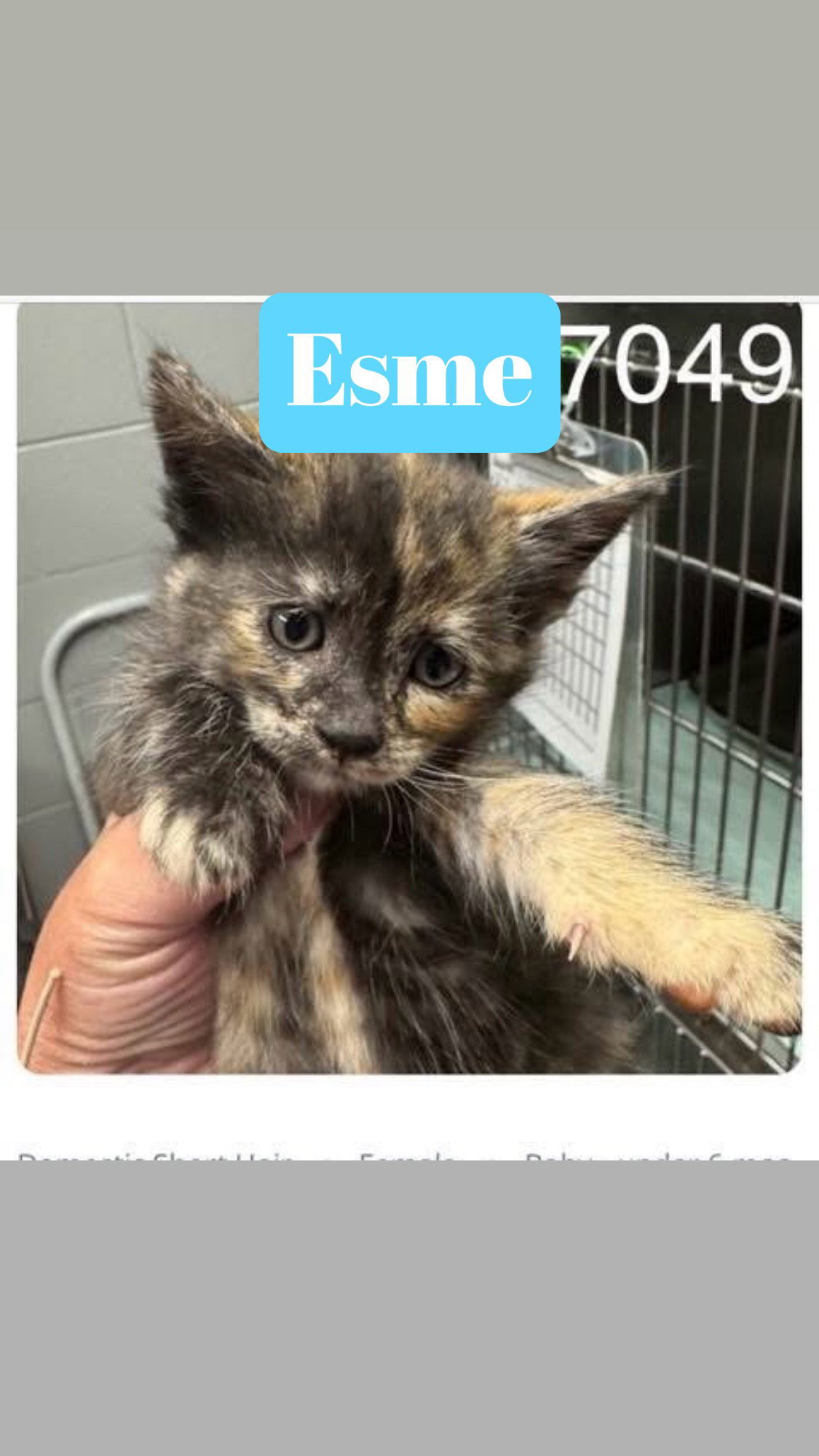 Esme