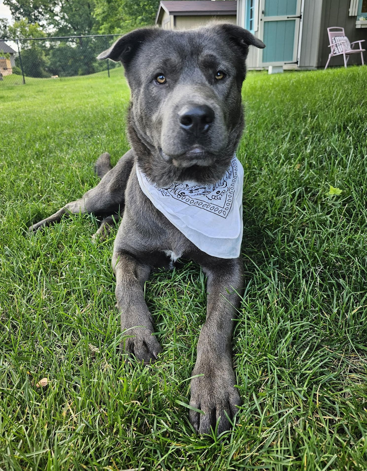 McDuff