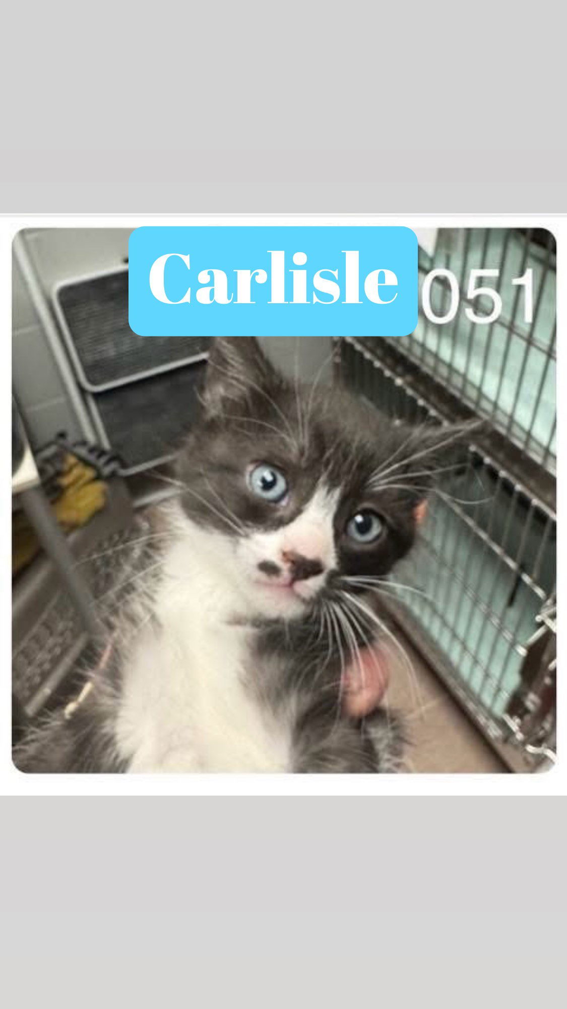 Carlisle