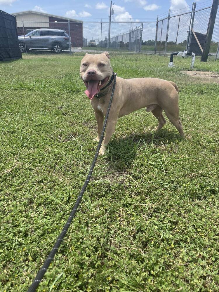 Max