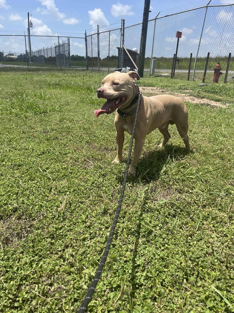 Max