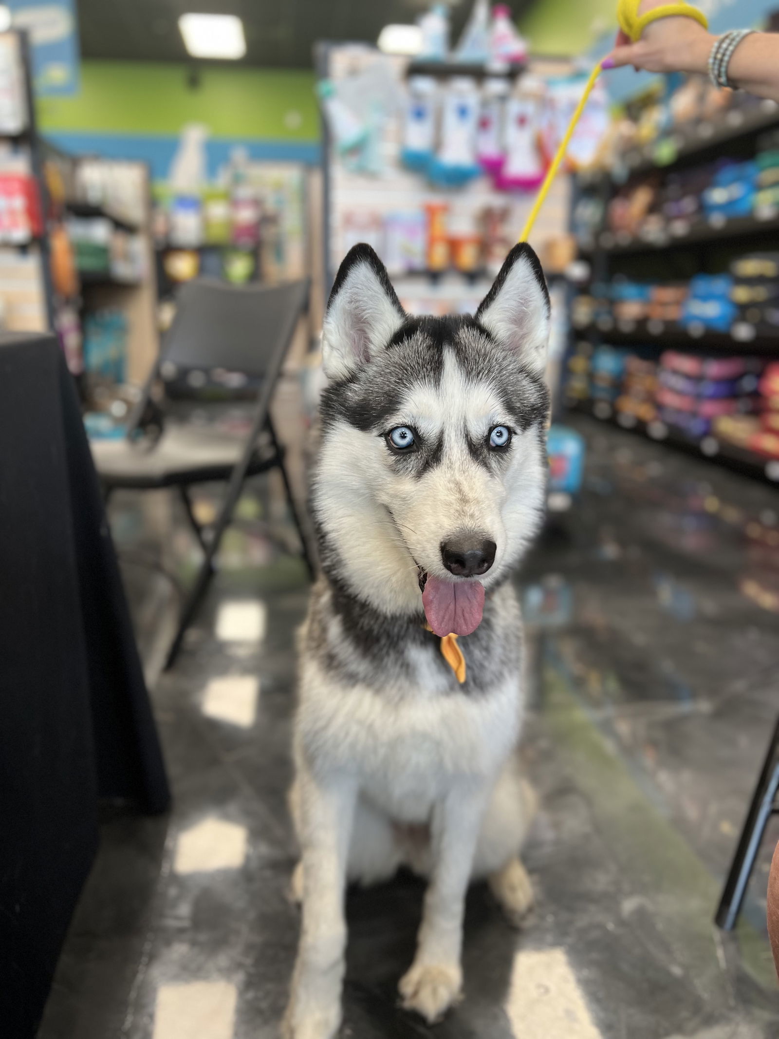 Skylar