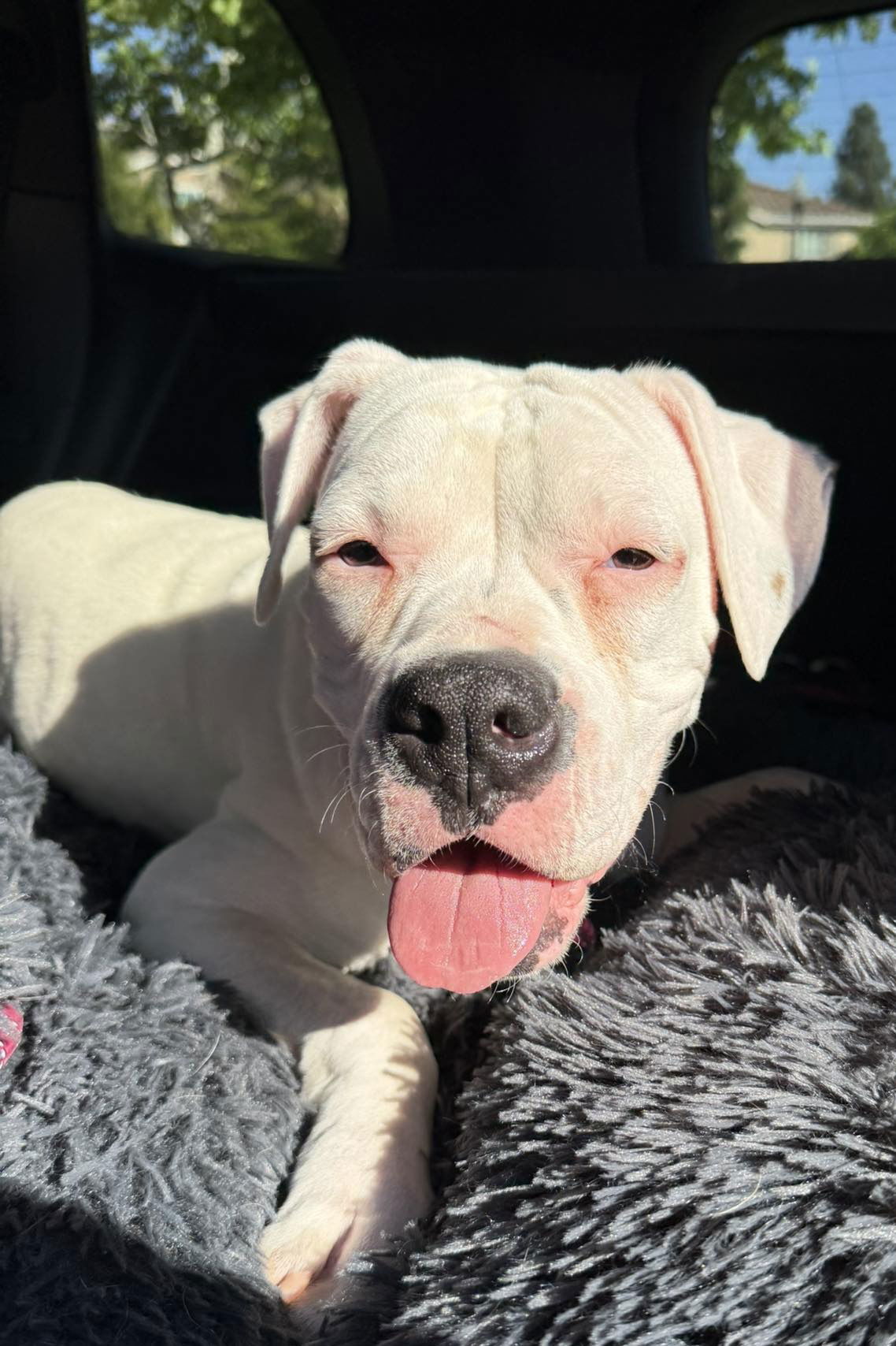 Ellie