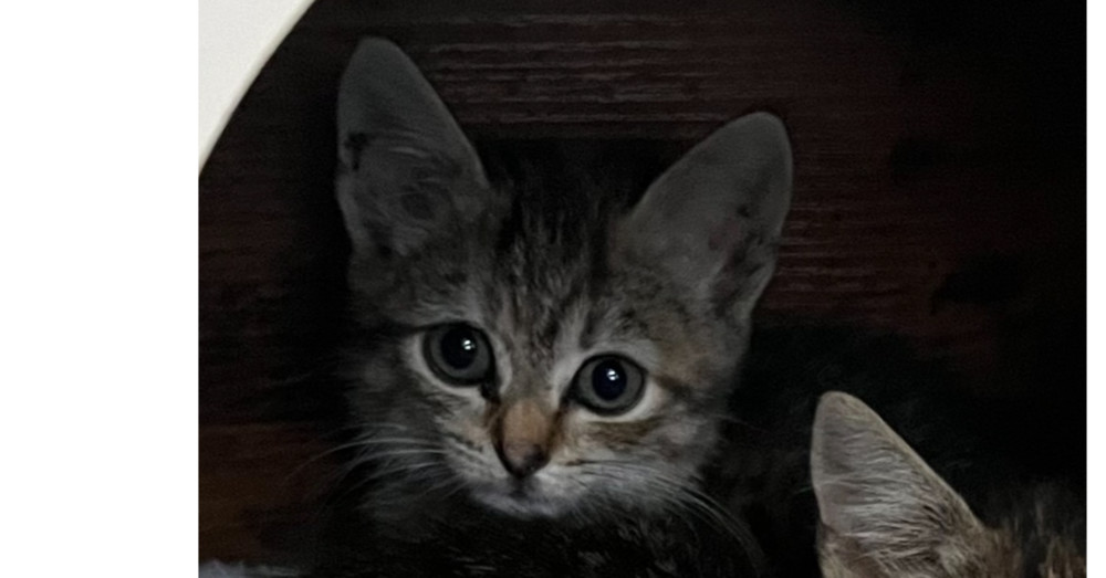 Winzling aka Winnie