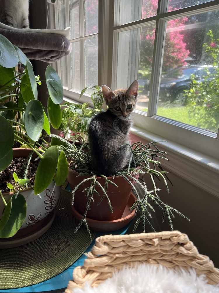 Winzling aka Winnie