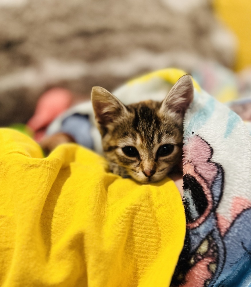 Winzling aka Winnie