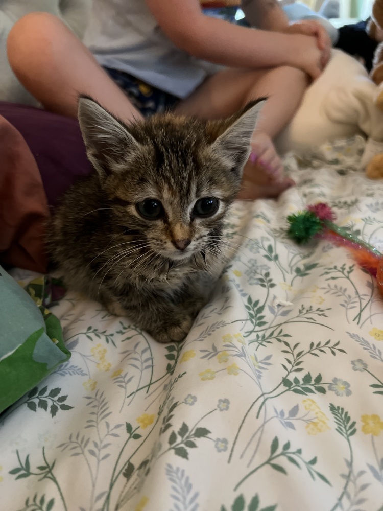 Winzling aka Winnie