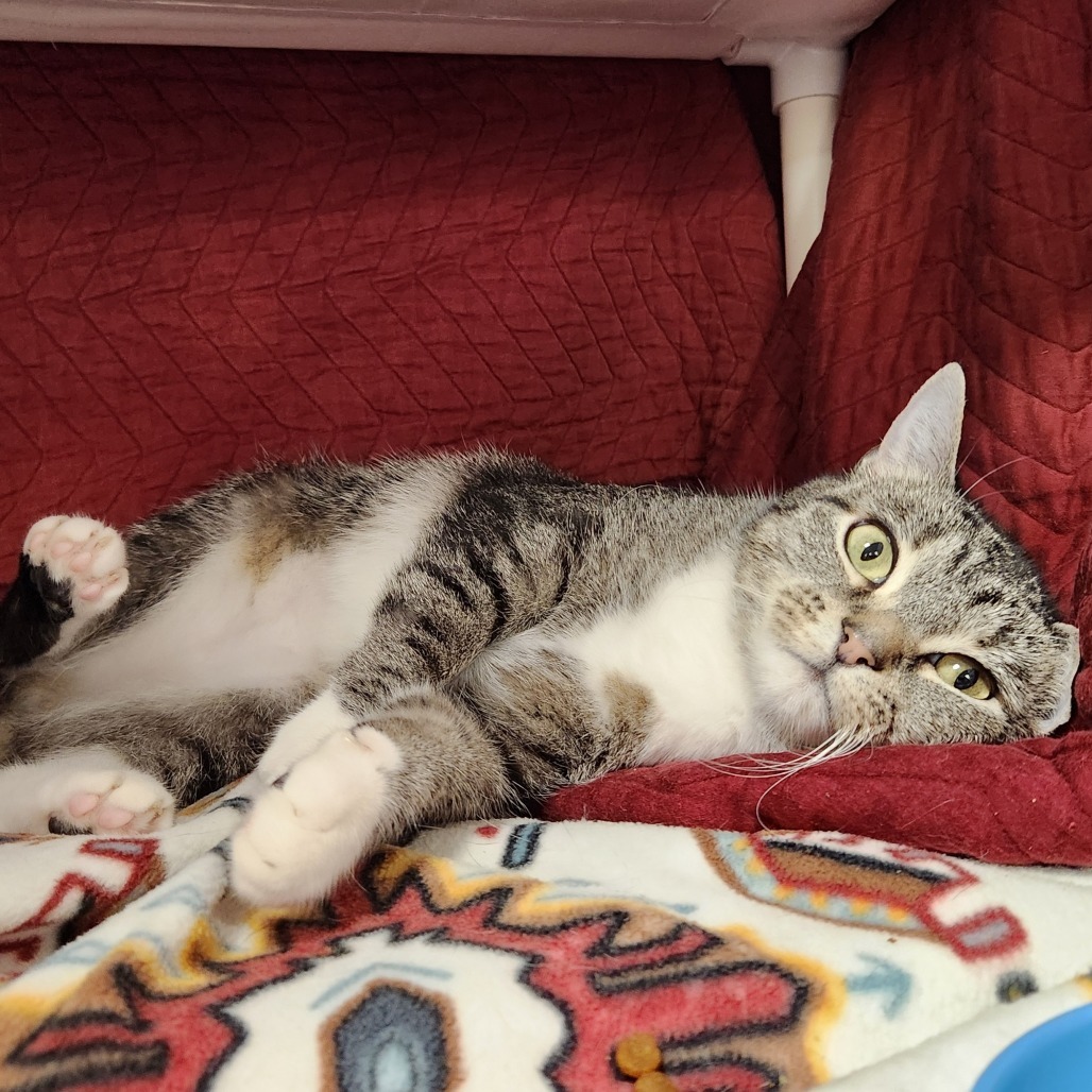 Mew