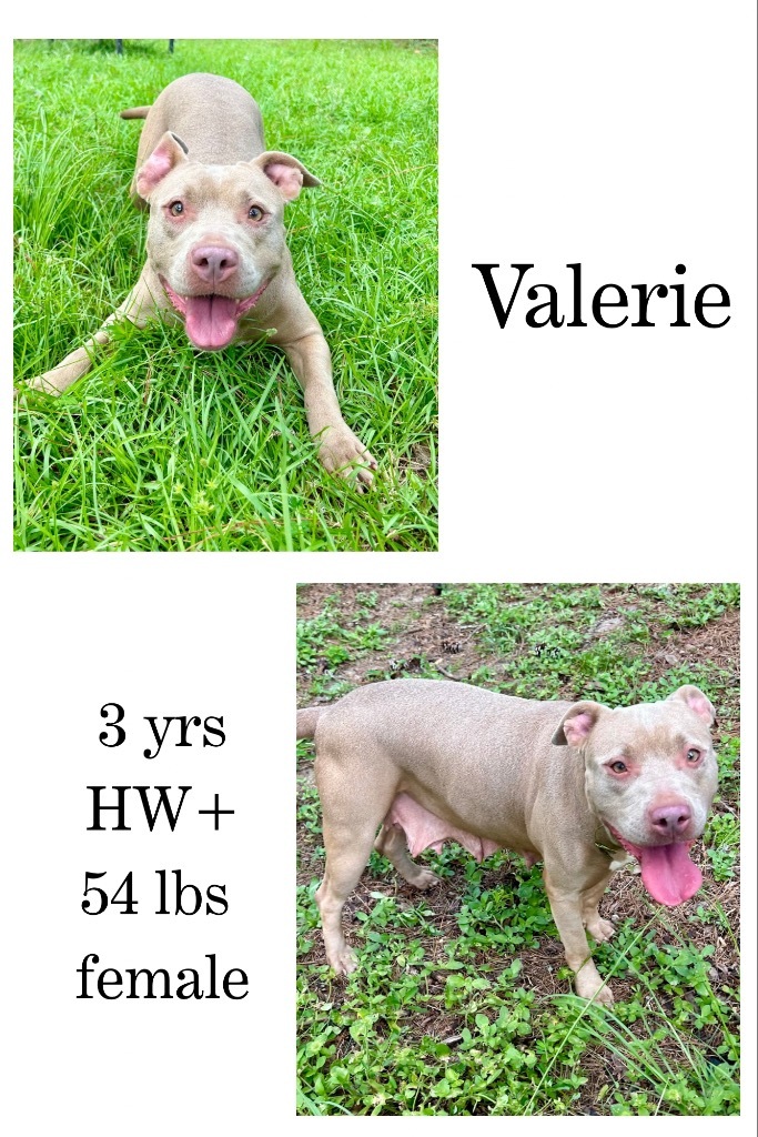 Valerie
