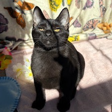 Errol, Baby Male unknown