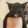 Errol photo 2