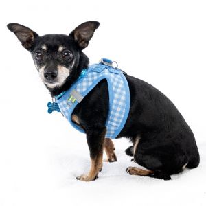 Theres something about a handsome well-mannered introvert Are we right A little shy a touch mys