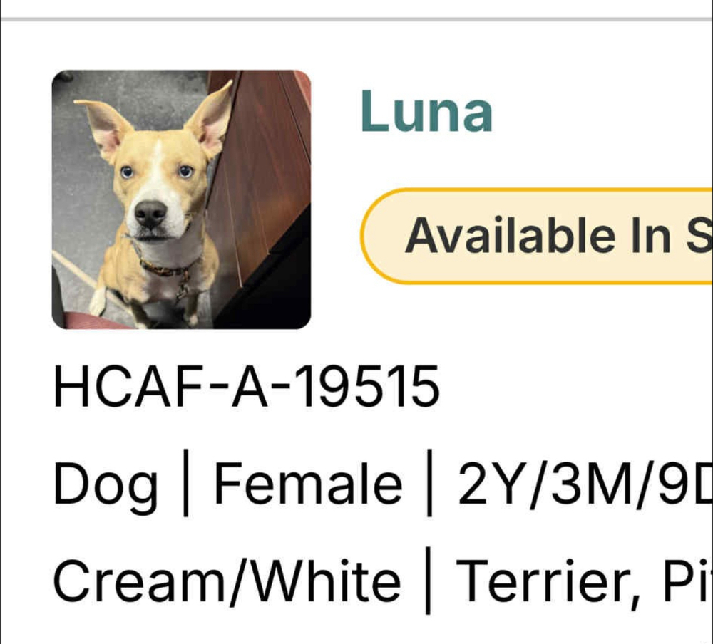 Luna