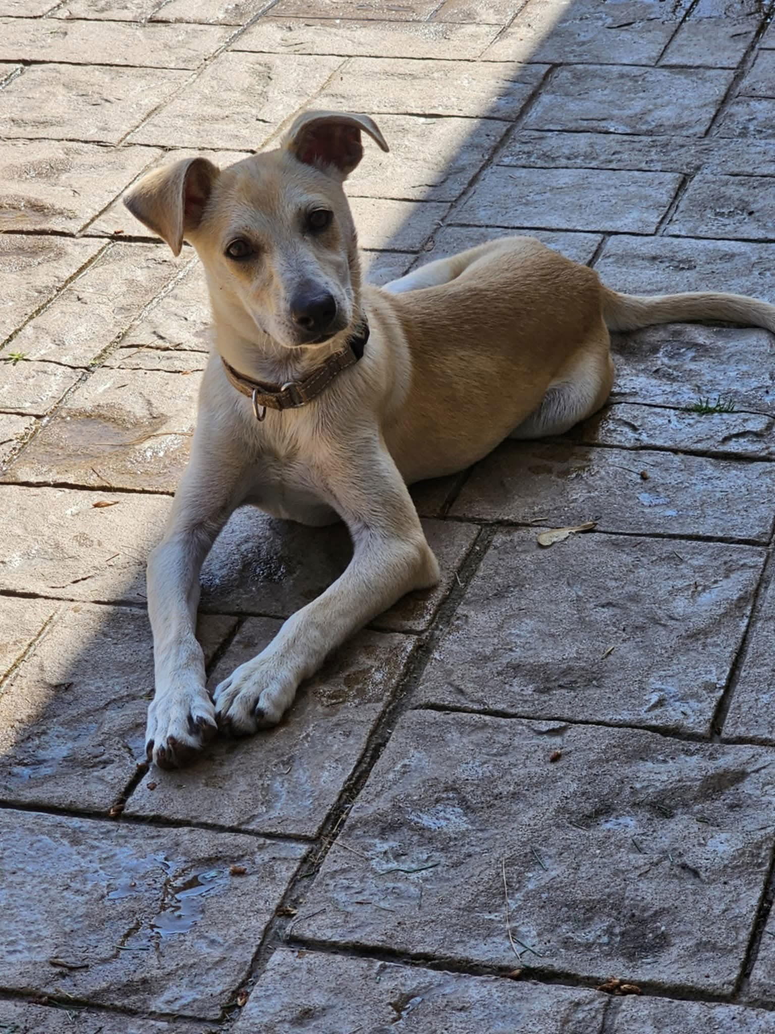 Casey