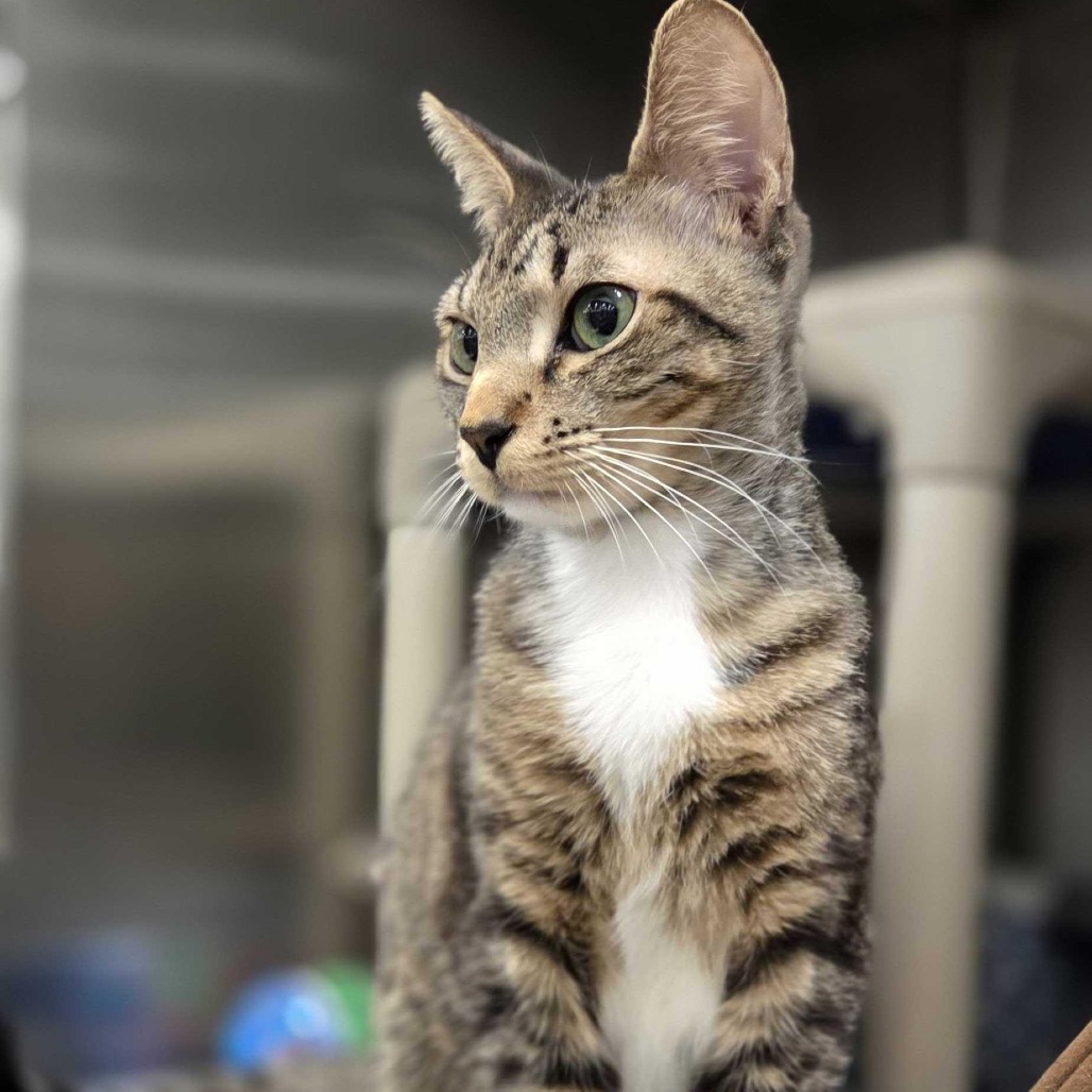 Theodore