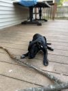 Stitch photo 2