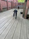 Stitch photo 4