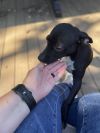 Stitch photo 5