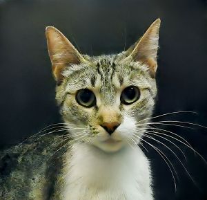 A5697098 Meet Janet the petite sweetheart with a big personality Janet may be