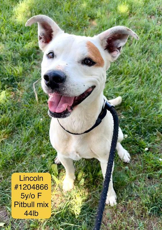 Lincoln