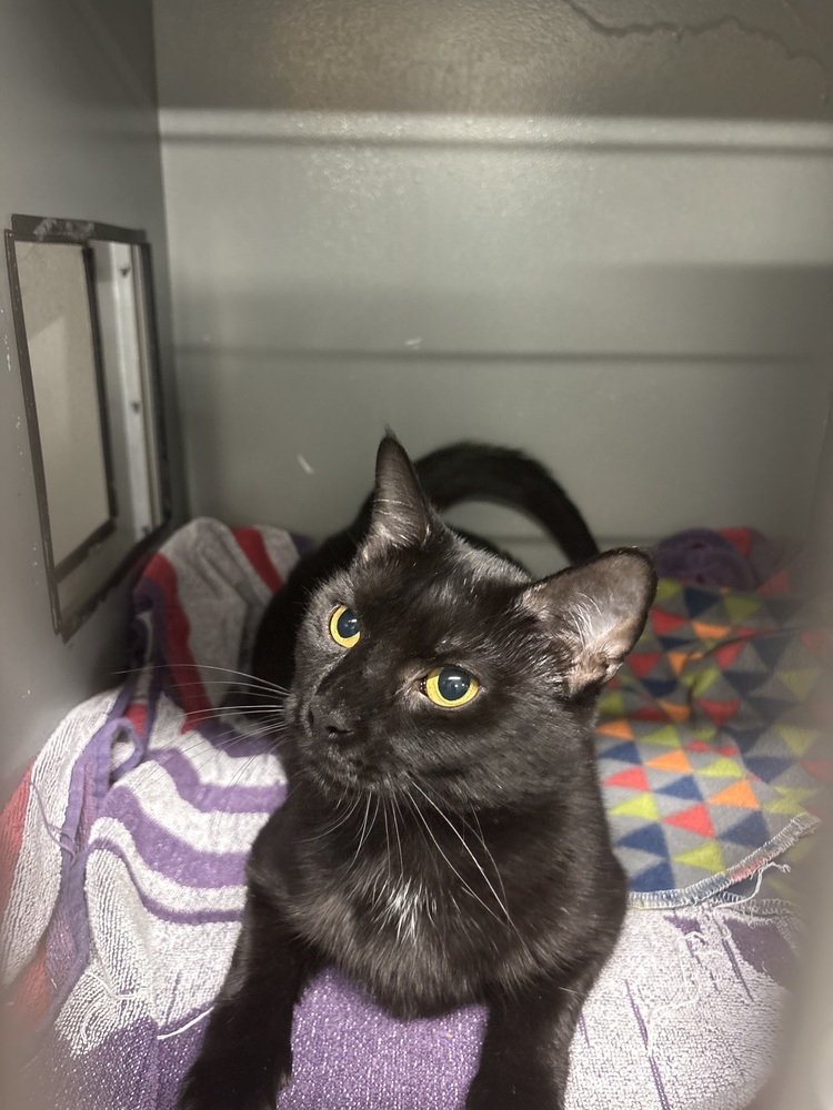 Freida (Frederick Street mama)