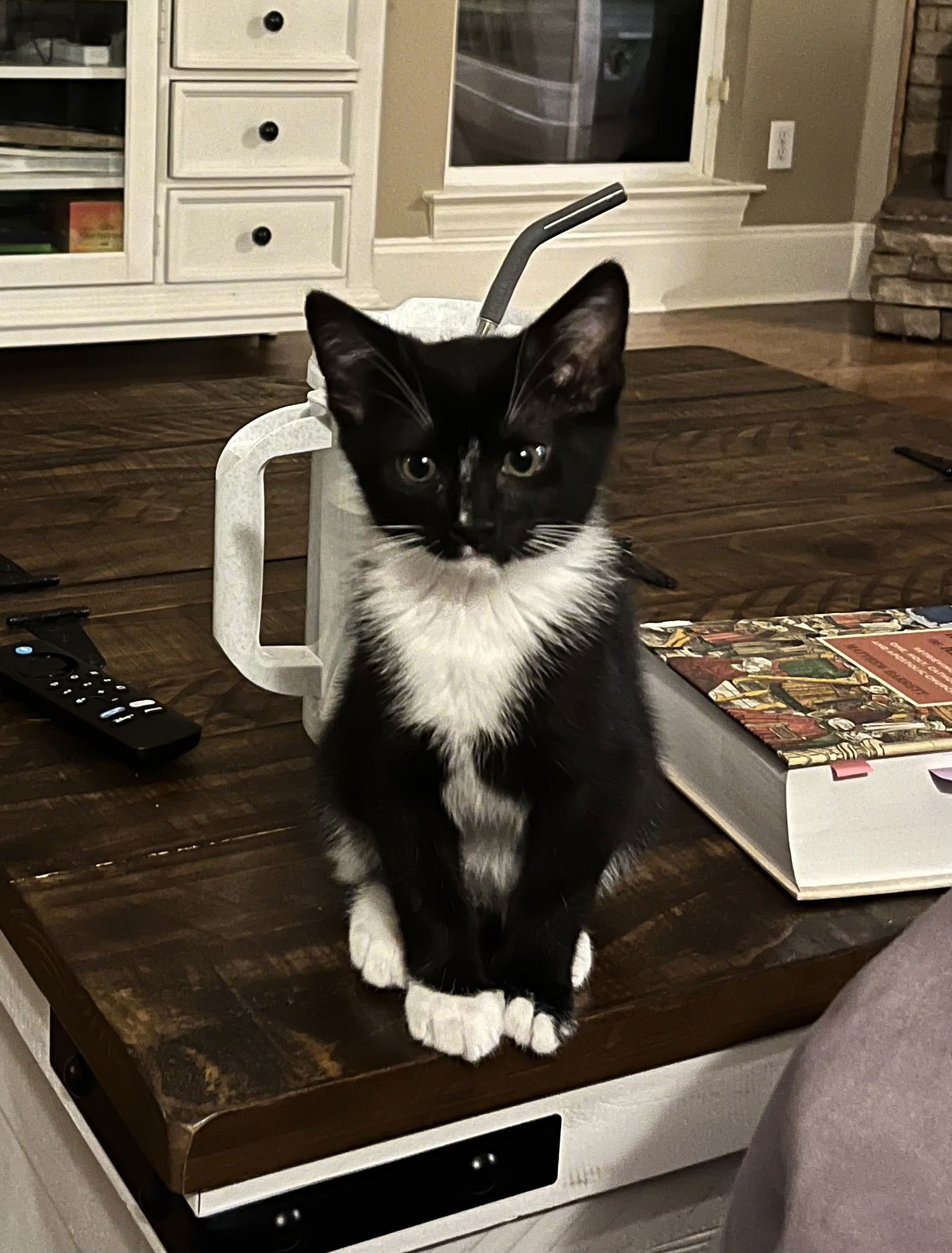 Mochi