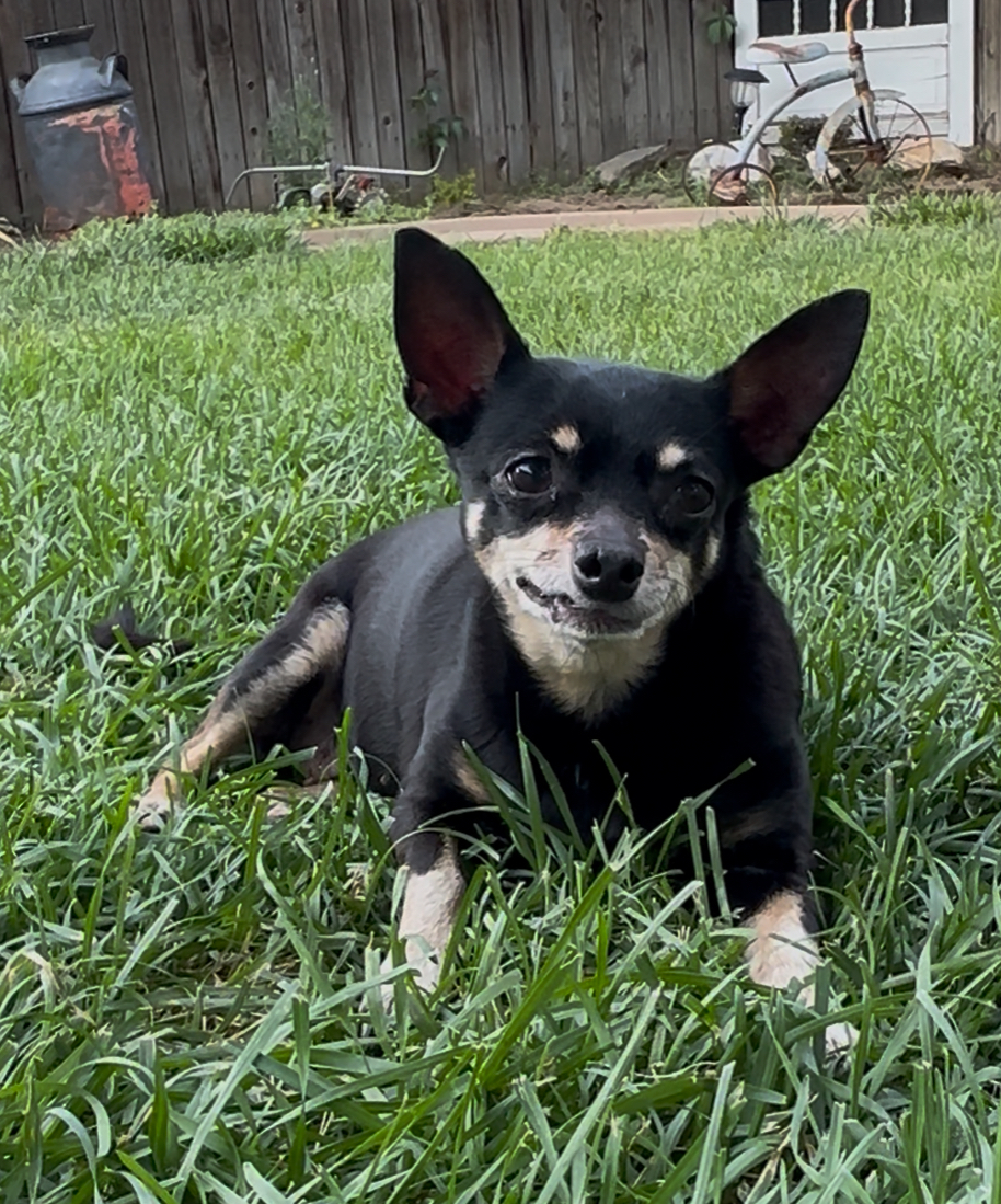 Cali