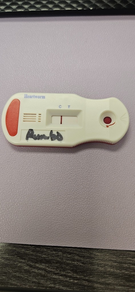 Rambo