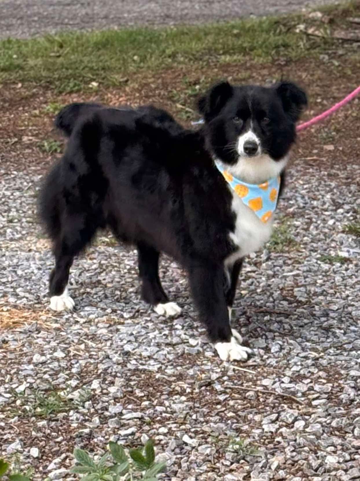 Elka: At shelter