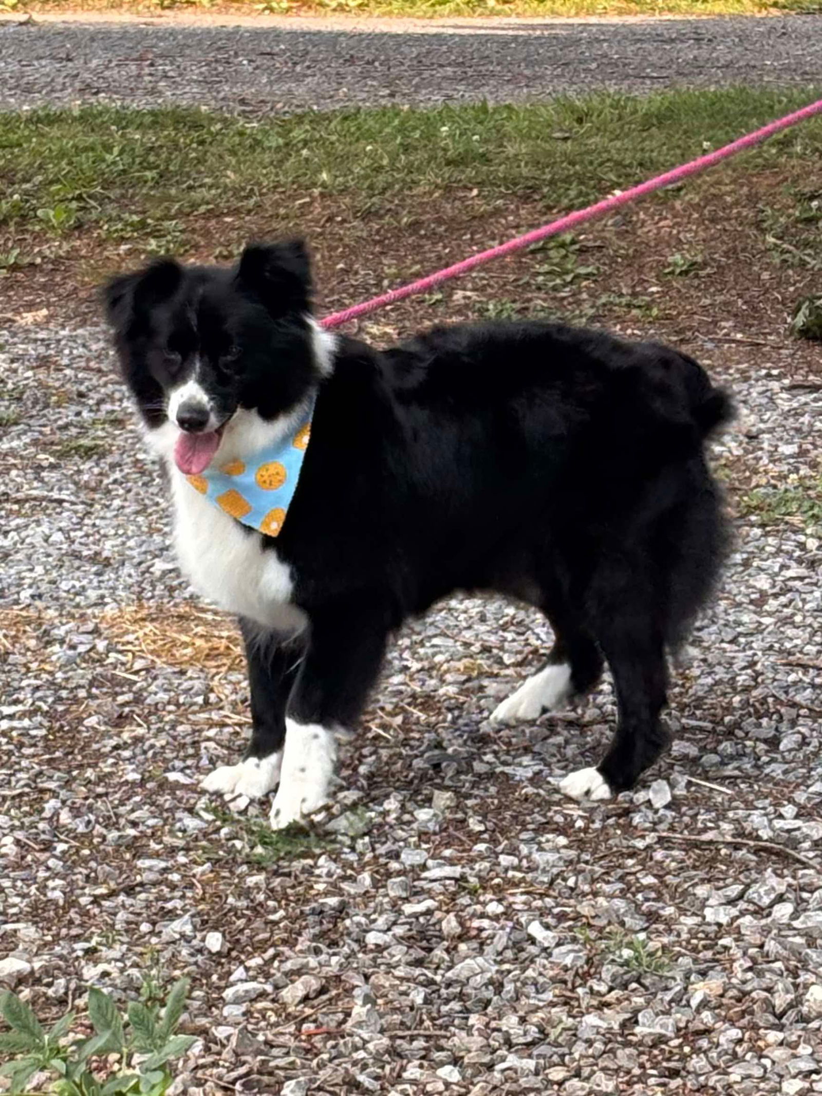 Elka: At shelter