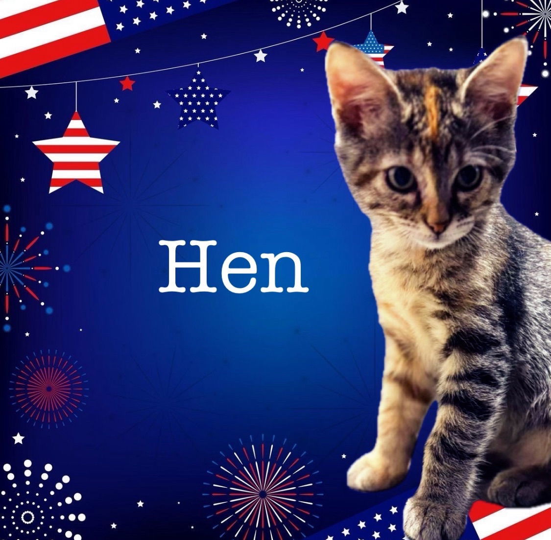 Hen