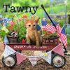 Tawny photo 1