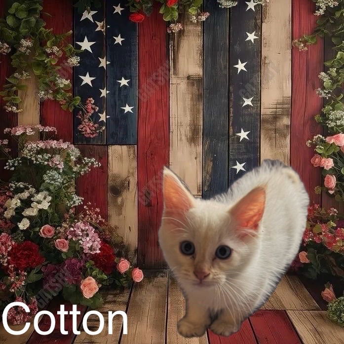 Cotton